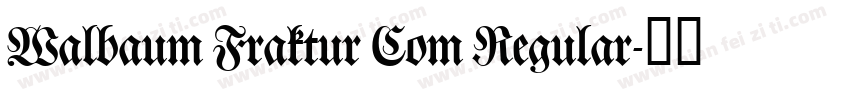 Walbaum Fraktur Com Regular字体转换